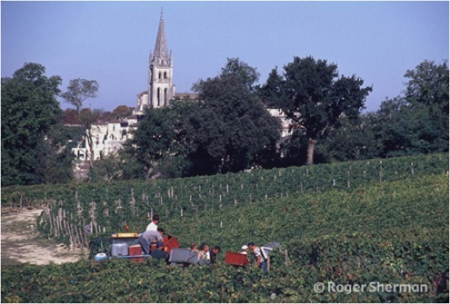 Harvesting in Pavie